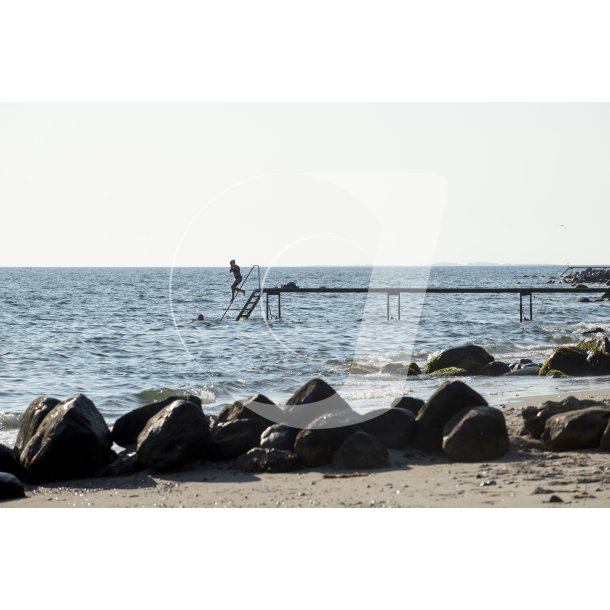 Badning fra badebro ved Ballehage Strand syd for Aarhus