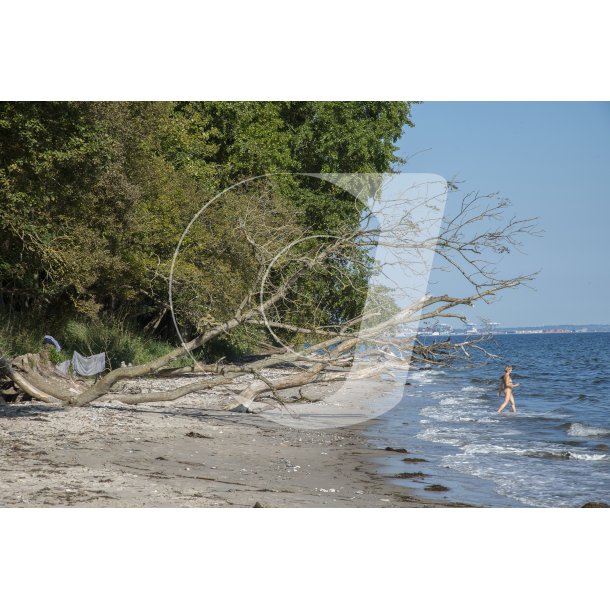 Fljstrup Naturist Strand ved Aarhus