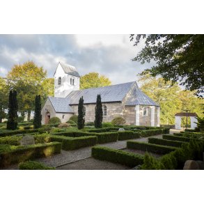 Tjele Kirke er sognekirke som ligger i umiddelbar tilknytning til Tjele Gods.