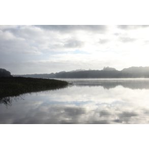 Tget efterrs morgen ved Tjele Langs