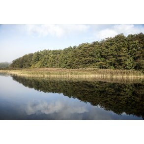 Efterrs morgen ved Tjele Langs