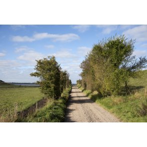 Vejen mod Ulbjerg Klint ved Lovns Bredning i Limfjorden