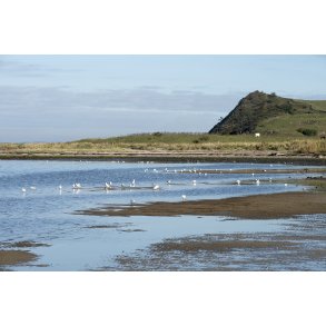 Ulbjerg Klint ved Lovns Bredning i Limfjorden