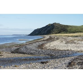 Ulbjerg Klint ved Lovns Bredning i Limfjorden