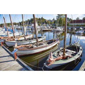 Sjgter i Hjarbk Havn