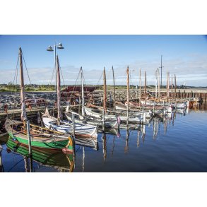 Sjgter i Hjarbk Havn