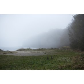 T�get efter�rsdag ved Moesgaard strand