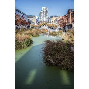 Redfall og stervold i Randers