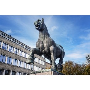 Den Jyske Hingst p stervold i Randers