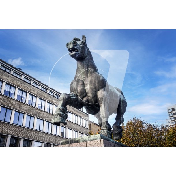 Helen Schous skulptur "Den Jyske Hingst" p stervold i Randers