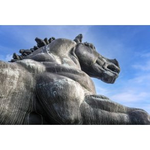 Den Jyske Hingst p stervold i Randers