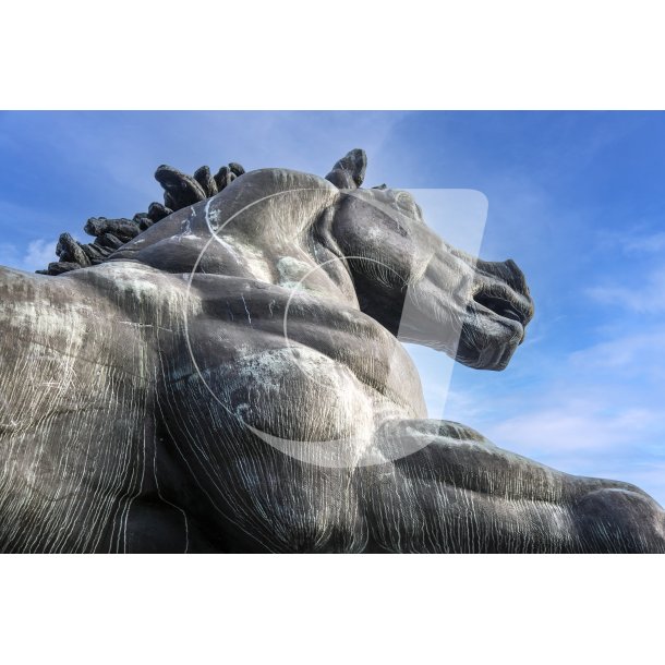 Helen Schous skulptur "Den Jyske Hingst" p stervold i Randers