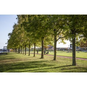 Tronholmparken ved Guden�en og Randers Havn