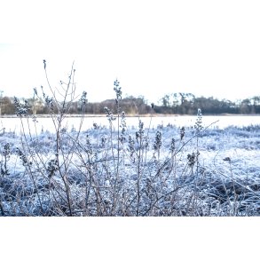 Frost og vinter i Fussing� ved Fussing s�