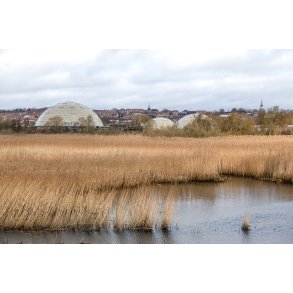 Storkeengen ved Guden�en med Randers Regnskov i baggrunden