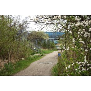 Tidlig for�r ved stien langs Guden�en, jernbanebroen og Den Bl� Bro