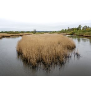 Tidlig for�r ved Guden�en i Randers