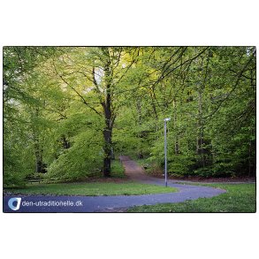 For�rs morgen i Vestparken i Randers