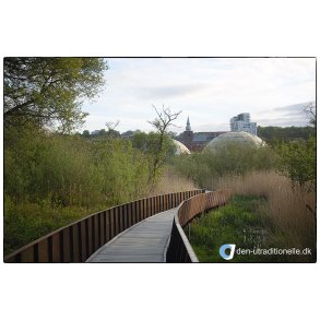 For�rs morgen i Storkeengen ved Guden�en i Randers med Randers Regnskov og Sct. Mortens Kirke