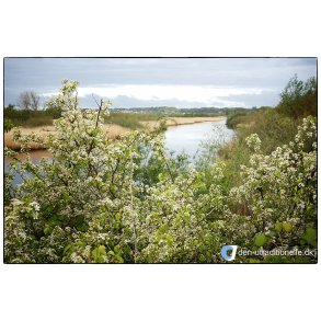 For�rs morgen ved Guden�en i Randers