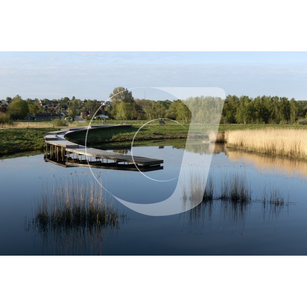 Storkeengen ved Gudenen i Randers