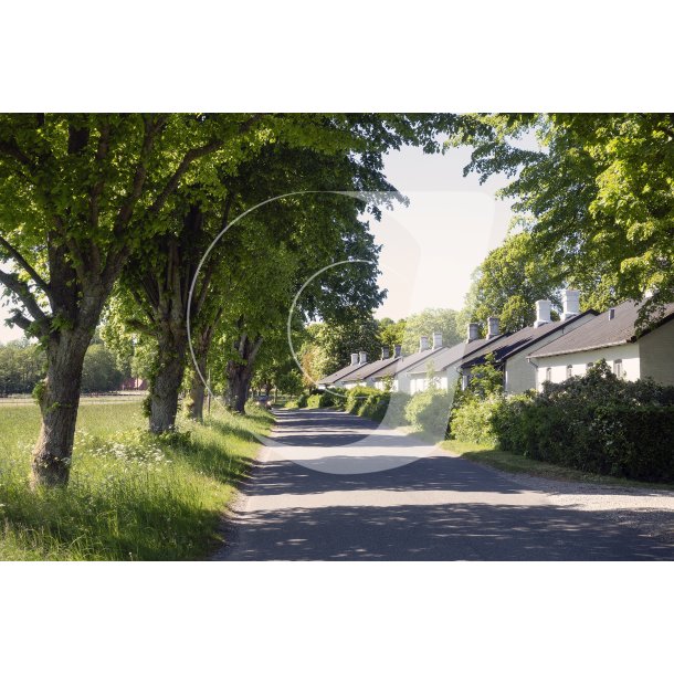 Polakhusene ved herregrden Vilhelmsborg vd Mrslet, syd for Aarhus.