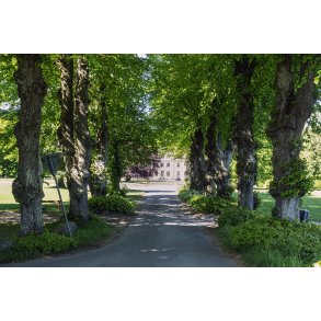 Alle mod Vilhelmsborgs hovedbygning ved M�rslet, syd for Aarhus