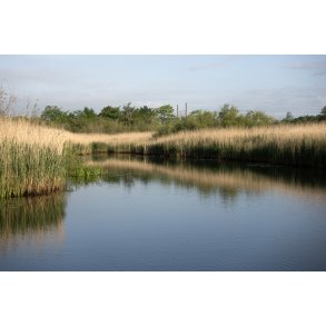 Guden�en ved Storkeengen i Randers