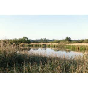 Kongslund s ved Gudenen i Randers