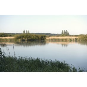 Kongslund s ved Gudenen i Randers