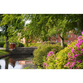 Willestrup herregrd ligger tt p Astrup, nord for Mariager Fjord