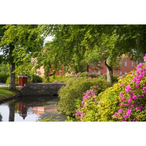 Willestrup herreg�rd ligger t�t p� Astrup, nord for Mariager Fjord