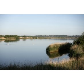 Vorup enge ved Guden�en i Randers