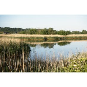 Vorup enge ved Guden�en i Randers