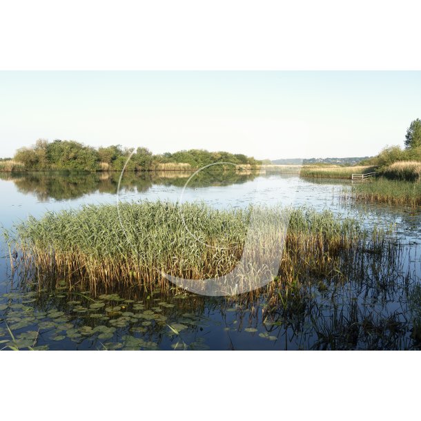 Gudenen ved Randers