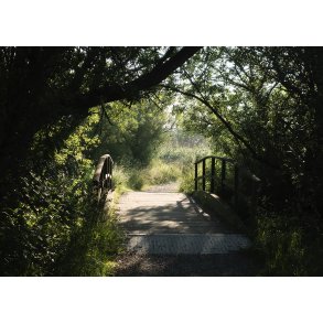 Sommermorgen p Gudenstien ved Randers