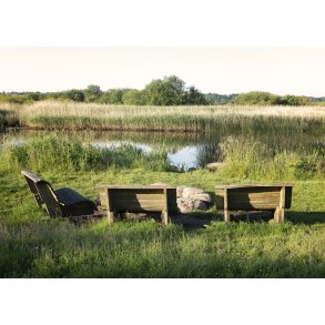 Sommermorgen ved Gudenen i Randers