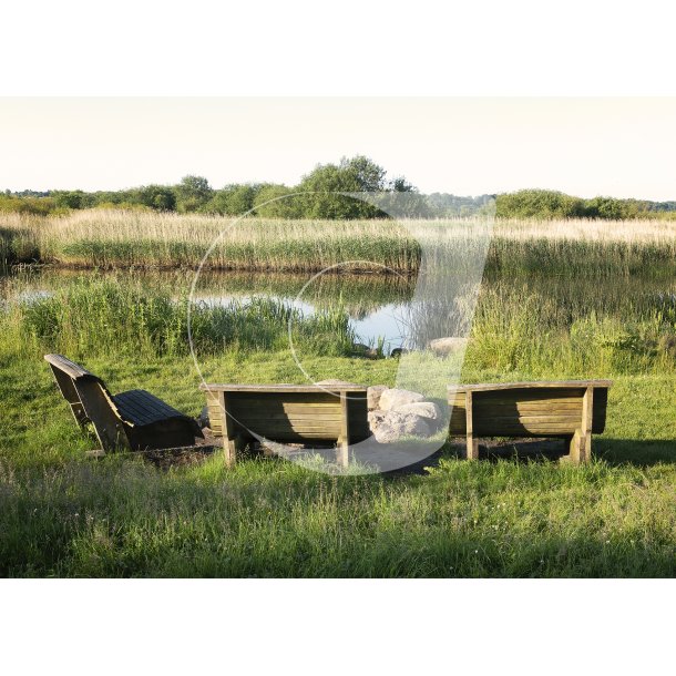 Sommermorgen ved Gudenen i Randers