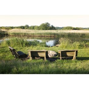 Sommermorgen ved bnke og blsted ved Gudenen i Randers