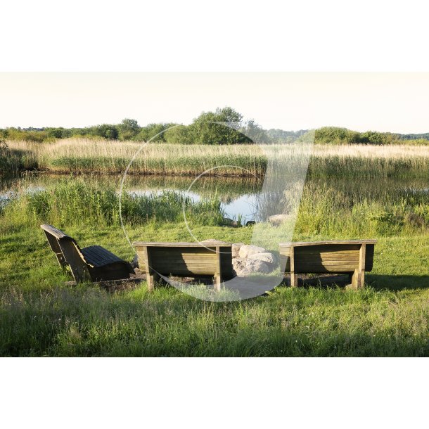 Sommermorgen ved bnke og blsted ved Gudenen i Randers