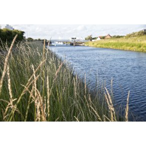 Aften ved Frederik VII�s Kanal i L�gst�r