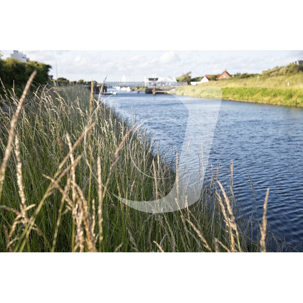 Aften ved Frederik VIIs Kanal i Lgstr