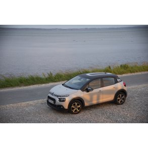 Bil parkeret ved fugletrnet ved Ulvedybet, med Limfjorden i baggrunden