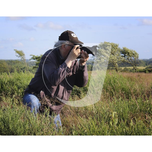 Fotograf p Vindbls Hede