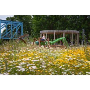 Legeplads og vilde blomster ved Justesens Plne i Randers med 