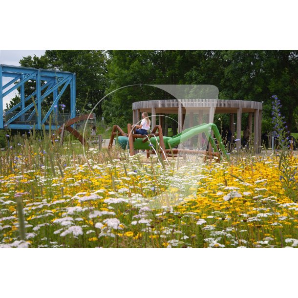 Legeplads og vilde blomster ved Justesens Plne i Randers med "Den Bl Bro" i baggrunden