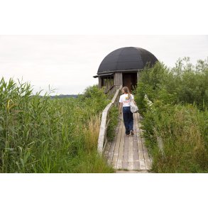 Fugletrn i Vorum enge ved Gudenen og Randers