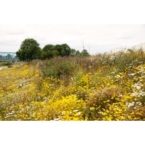 Justesens plne ved Gudenen og Randers. 
