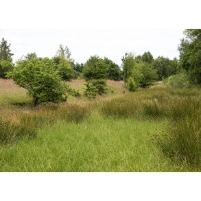 Christian III's kanal ved Fladbro