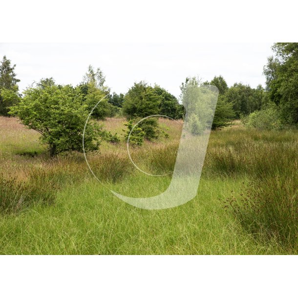 Christian III's kanal ved Fladbro